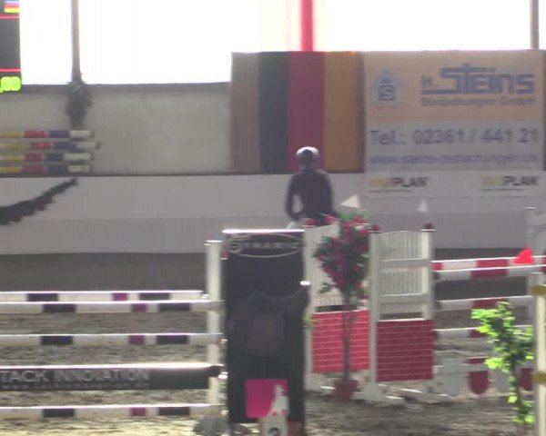 Reitturnier Alt Marl 2015