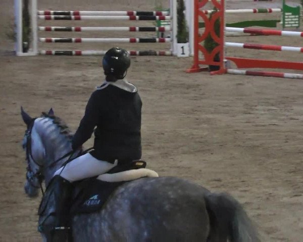Reitturnier Eppelheim 2016