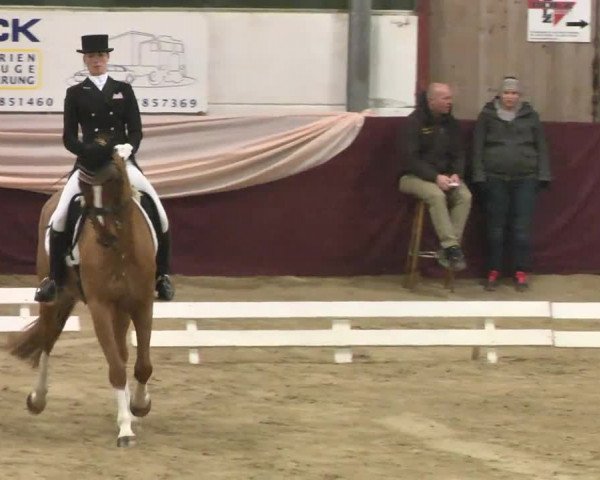 Reitturnier Eppelheim 2016