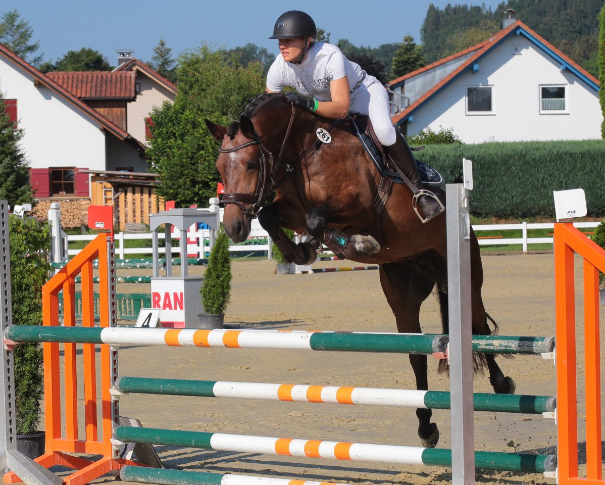 jumper Courtens Kandis (Connemara Pony, 2015, from Kilduffahoo II)