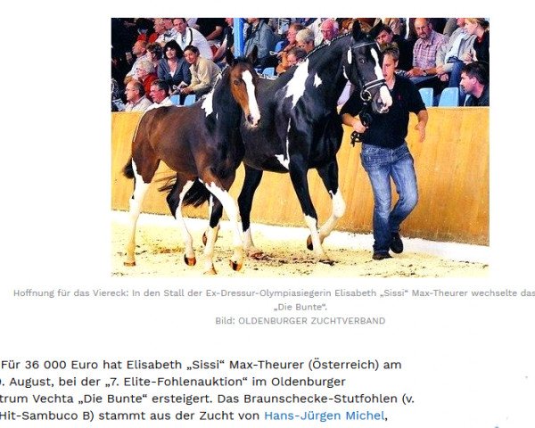 broodmare Die Bunte (Oldenburg, 2008, from Diamond Hit)