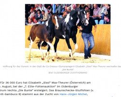 broodmare Die Bunte (Oldenburg, 2008, from Diamond Hit)