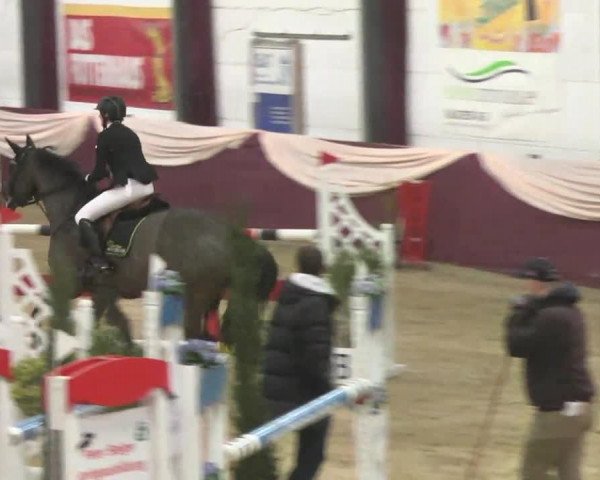 Reitturnier Eppelheim 2016