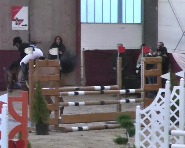 Reitturnier Eppelheim 2016