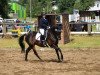 dressage horse Lantana 62 (Saxony-Anhaltiner, 1996, from Ladero)