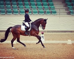 dressage horse CSI Cheerleader (Hannoveraner, 2010, from Conteur)