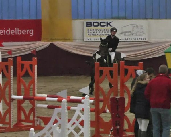 Reitturnier Eppelheim 2016
