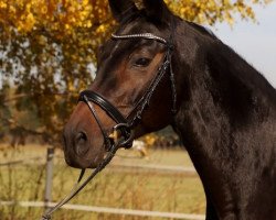 broodmare Chanel (Bavarian, 1997, from Rohdiamant)