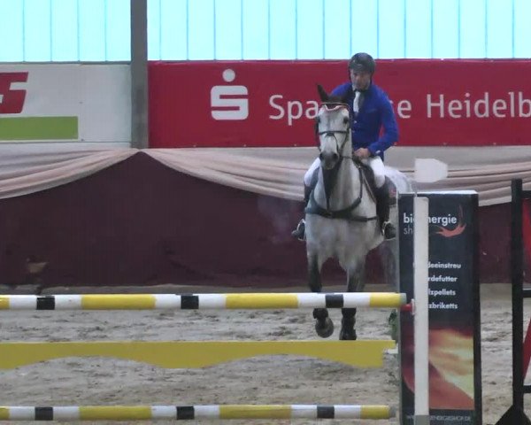 Reitturnier Eppelheim 2016