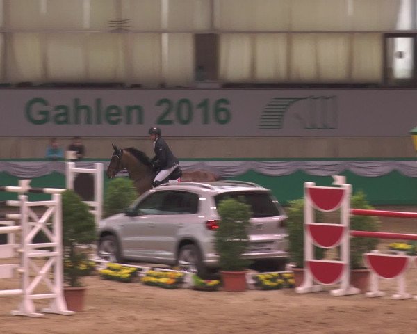 CSN Gahlen 2016