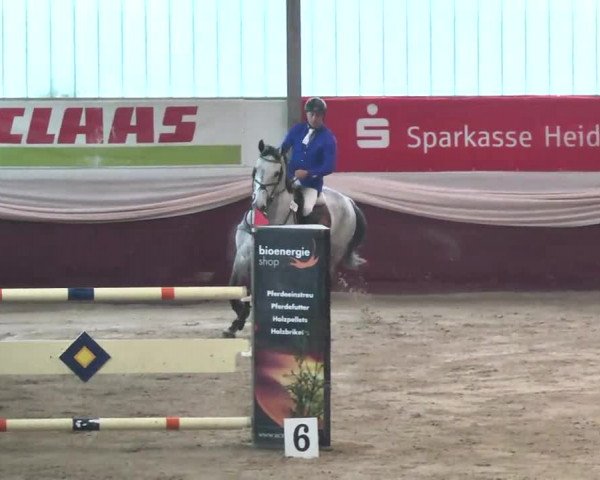 Reitturnier Eppelheim 2016