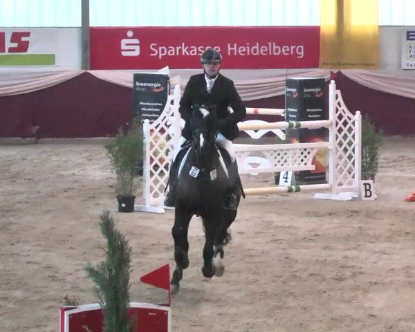Reitturnier Eppelheim 2016