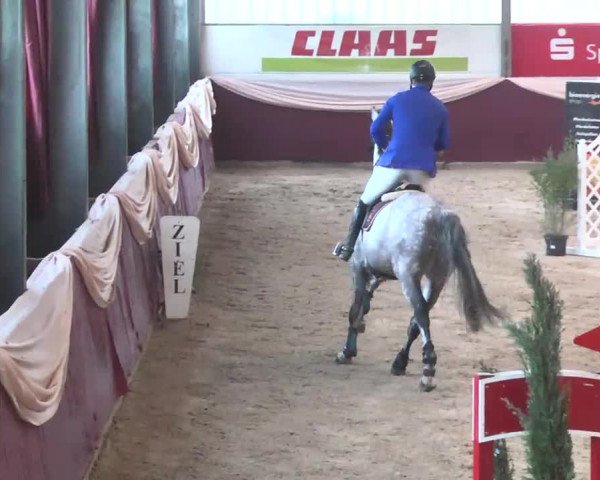 Reitturnier Eppelheim 2016