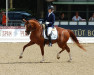 dressage horse Riverbank Frabenfroh (Finnish Warmblood, 2010, from Fürst Fugger)