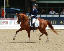 dressage horse Riverbank Frabenfroh (Finnish Warmblood, 2010, from Fürst Fugger)