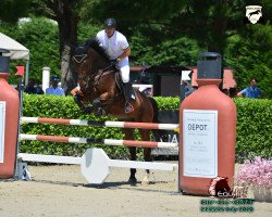 Springpferd Cornet Cristo (Westfale, 2006, von Cornet Obolensky)