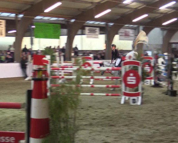 Reitturnier Barlo-Bocholt 2016