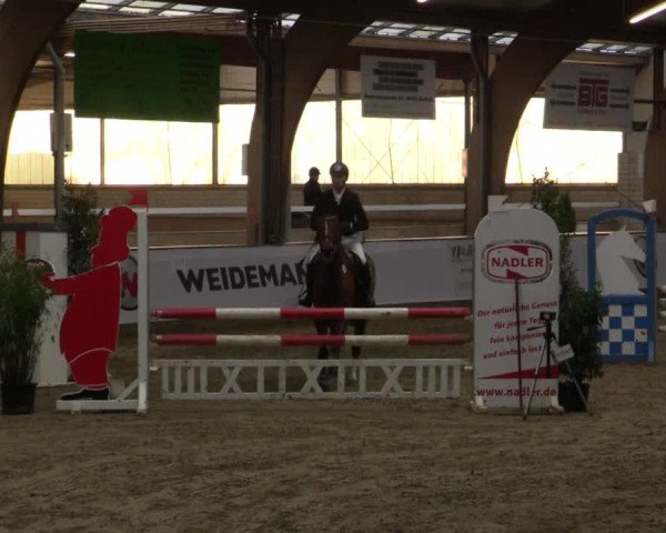 Reitturnier Barlo-Bocholt 2016