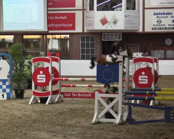 Reitturnier Barlo-Bocholt 2016