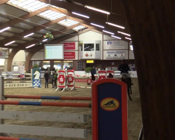 Reitturnier Barlo-Bocholt 2016