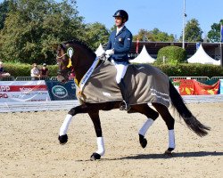 dressage horse Frizzantino FRH (Hanoverian, 2015, from Finest)