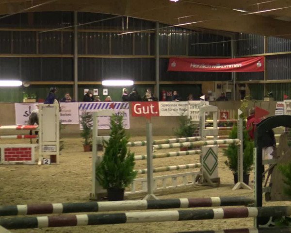 Reitturnier Velen 2016