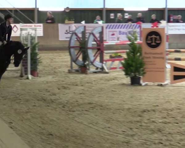 Reitturnier Velen 2016