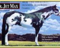 stallion Mr Jet Max (Paint Horse, 1988, from Blue Max)