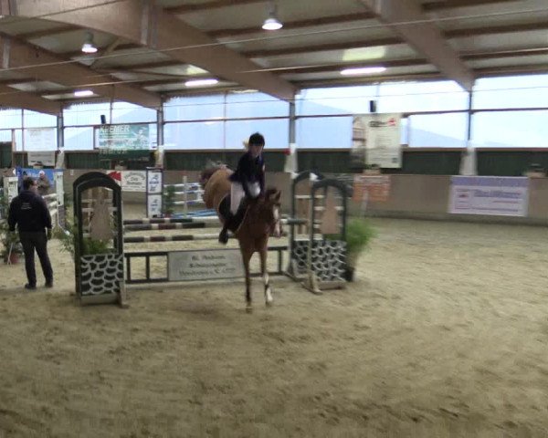 Reitturnier Velen 2016