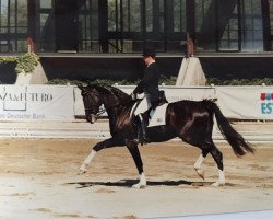 broodmare Walzerfuerstin (Oldenburg, 1989, from Sion)