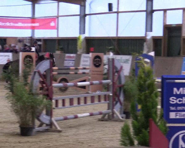 Reitturnier Velen 2016