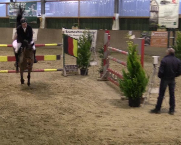 Reitturnier Velen 2016