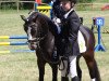 Dressurpferd C-Tork's Curly Casablanca (Welsh Mountain Pony (Sek.A), 2001, von Kampanje's Torc)