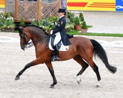 stallion August der Starke (Oldenburg, 1995, from Argentinus)