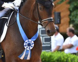 broodmare Albertina Mt (Oldenburg, 2010, from Rosandro)