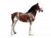 Zuchtstute Westwood H.C. Fancy Jewel (Clydesdale, 2008, von Highfield Collessie)