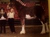 Pferd Cedarlane Baxter (Clydesdale, 2003, von S B H Phoenix)