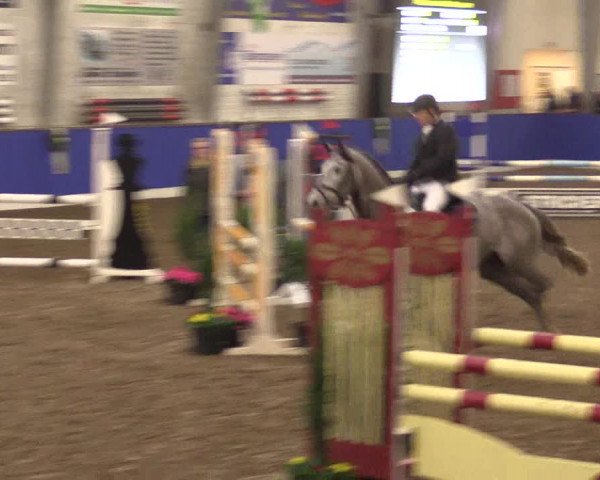 Reitturnier Dörpen 2016