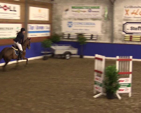 Reitturnier Dörpen 2016