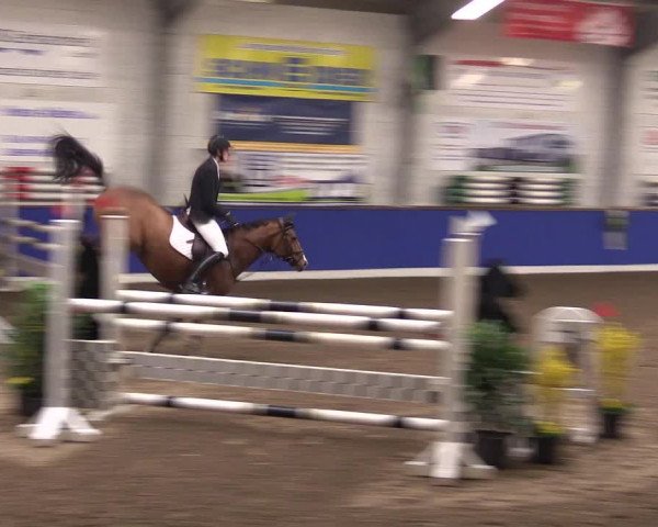 Reitturnier Dörpen 2016