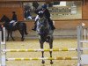 jumper CK (German Sport Horse, 2014, from Samos)