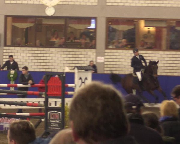 Reitturnier Dörpen 2016