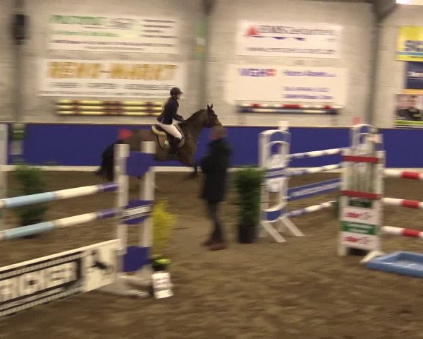Reitturnier Dörpen 2016