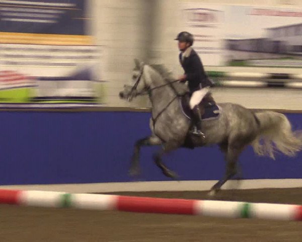 Reitturnier Dörpen 2016