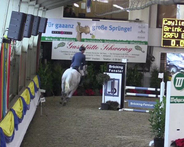 Reitturnier Vreden 2016