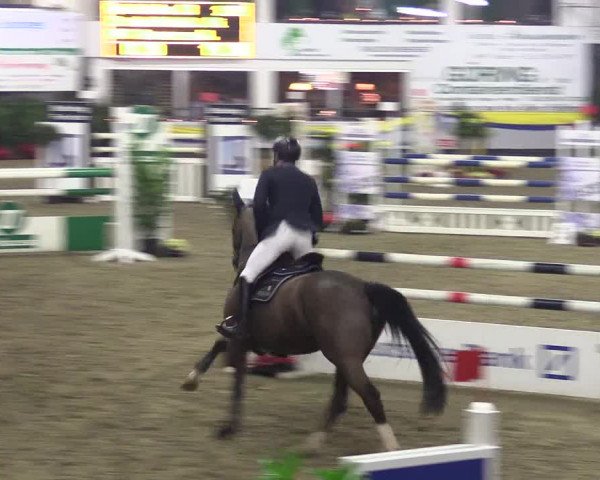 Reitturnier Vreden 2016