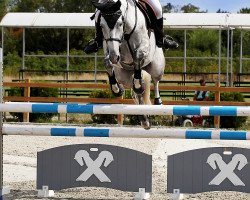 broodmare E-Carissima (Holsteiner, 2012, from Pikeur Carre)