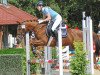 broodmare Pagode von H (German Riding Pony, 2004, from Ghadif ox)