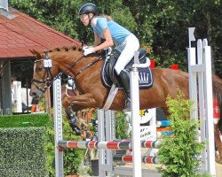 broodmare Pagode von H (German Riding Pony, 2004, from Ghadif ox)