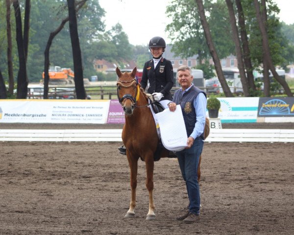dressage horse Olli's Son WE (German Riding Pony, 2014, from Grenzhoehes Olivier K WE)